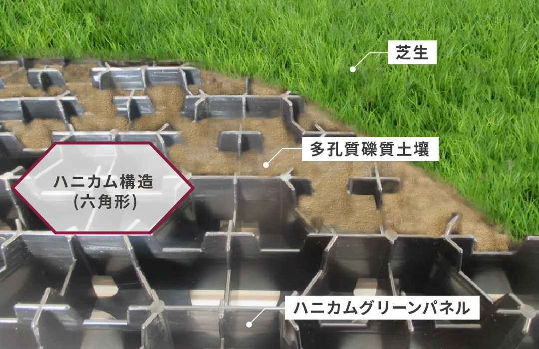 ハニカムグリーンについて