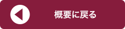 概要に戻る